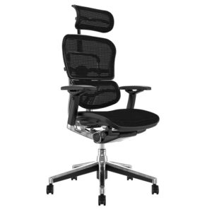 Ergohuman Chair, ergonomic office chair designed for total comfort