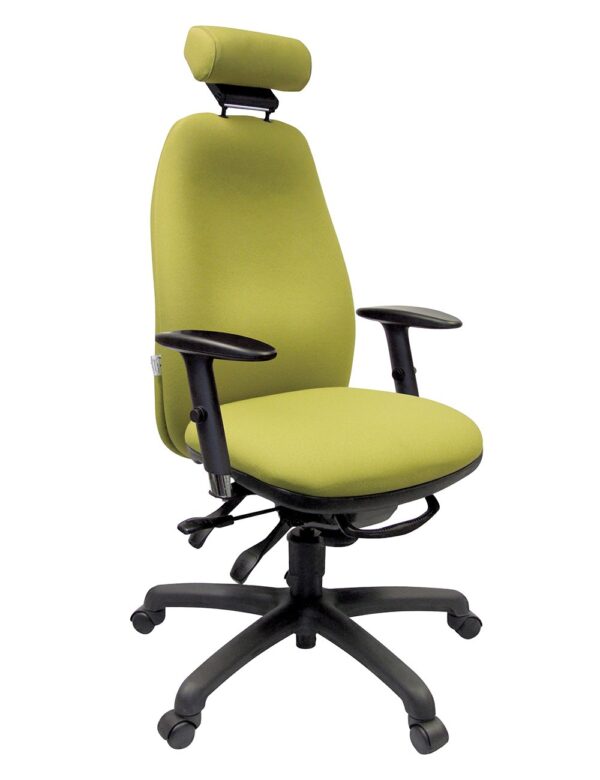 Adapt 620 Ergonomic Office Chair