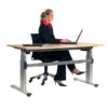 Aluforce Pro 250 Height Adjustable Desk Sitting