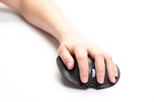 Handshoe Computer Mouse left handed