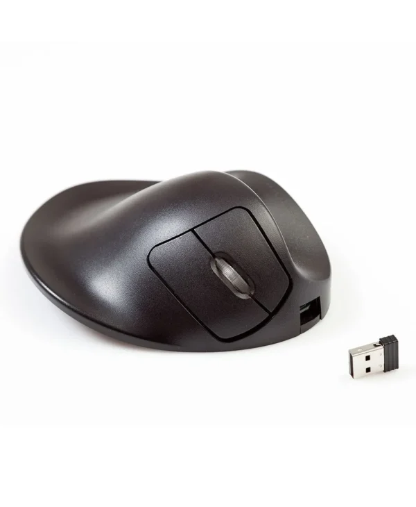 Handshoe Computer Mouse