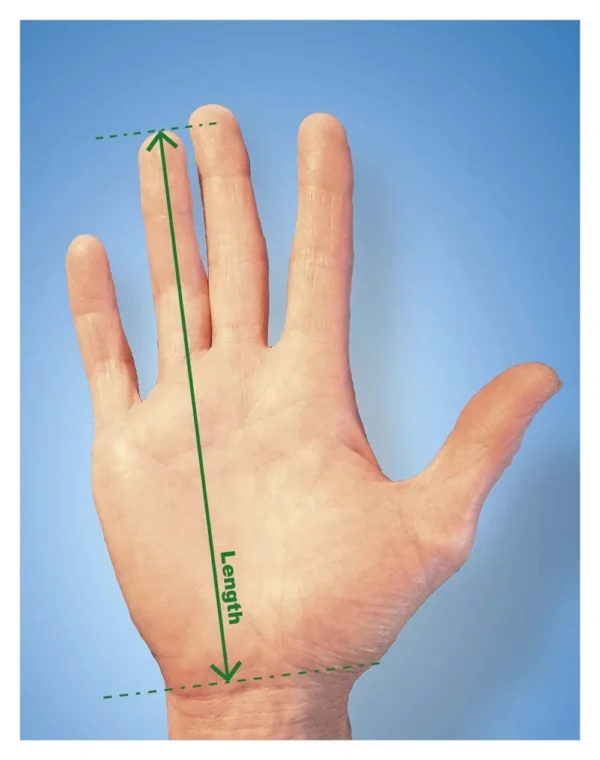 HandShoe SHIFT Ambidextrous Computer Mouse Size