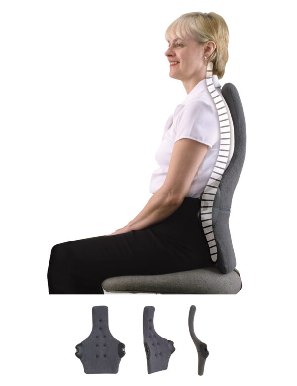 Therapeutica Spinal Back Support