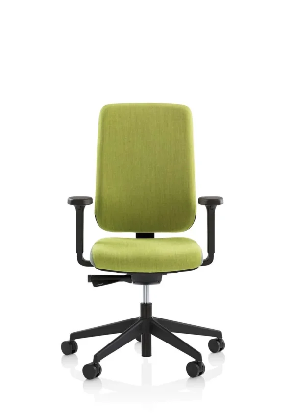 Being Us Ergonomic Office Chair front