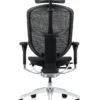 Enjoy Elite Mesh Office Chair G2 New Model with Head rest