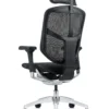 Enjoy Elite Mesh Office Chair G2 New Model with Head rest side