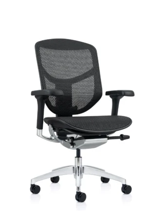 Enjoy Elite Ergonomic Office Chairs G2 Best Selling Office Chair