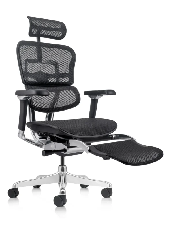 Ergohuman Plus Mesh Office Chair with Leg Rest G2