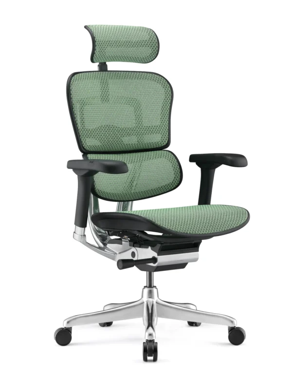 Ergohuman Elite Green Mesh Office Chair G2