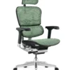 Ergohuman Elite Green Mesh Office Chair - New Model G2