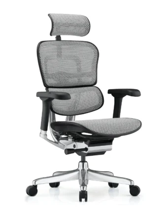 Ergohuman Elite Grey Mesh Office Chair G2