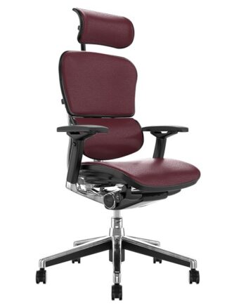 Ergohuman Elite Indego Leather Office Chair with Head Rest