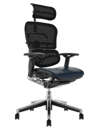 Ergohuman Elite Black Leather Seat Black Mesh Back with Head Rest