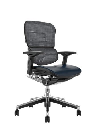 Ergohuman Elite Leather Seat Grey Mesh Back no Head Rest