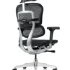 Ergohuman Elite Black Mesh Office Chair G2 back