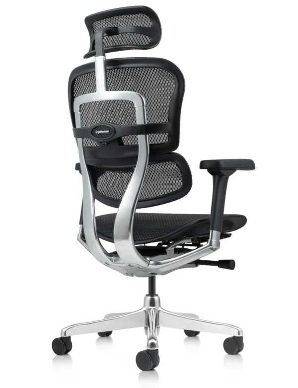 Ergohuman Elite Black Mesh Office Chair G2 back