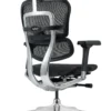 Ergohuman Elite Office Chair back - New Model