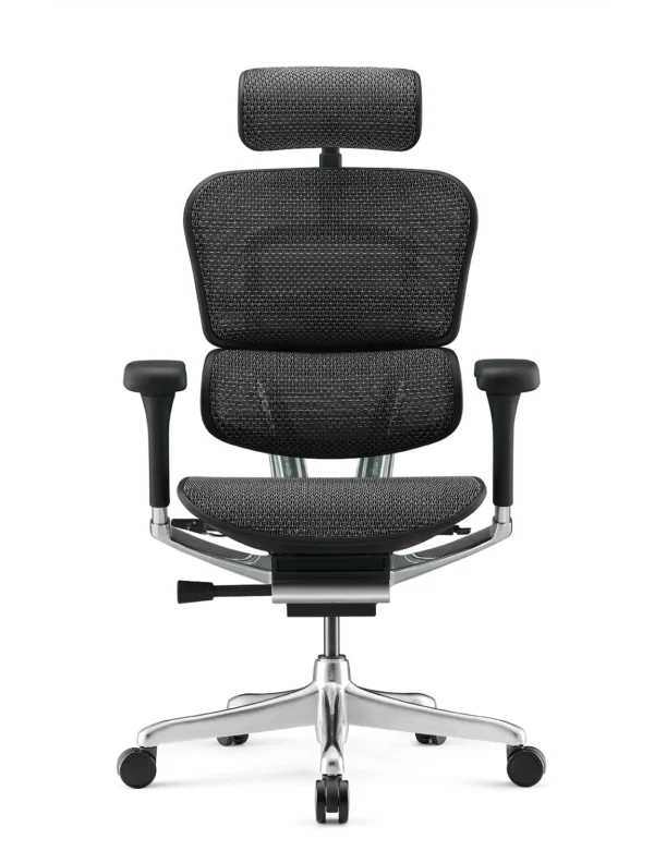 Ergohuman Elite Black Mesh Office Chair G2