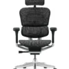 Ergohuman Elite Black Mesh Office Chair - New Model