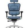 Ergohuman Elite Blue Mesh Office Chair - New Model