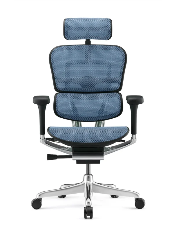 Ergohuman Elite Blue Mesh Office Chair - New Model