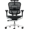 Ergohuman Elite Black Mesh Office Chair G2