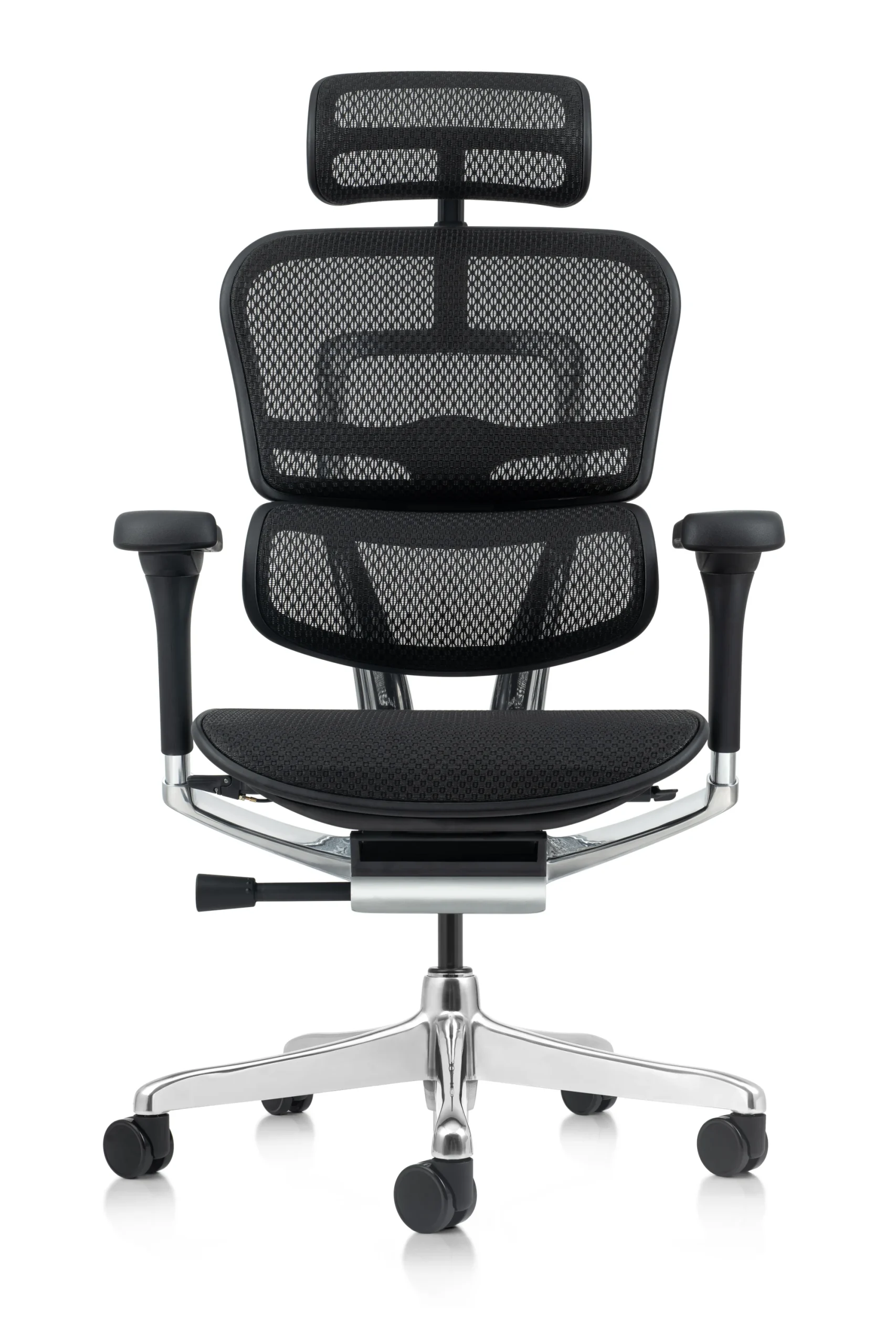 Raynor ergohuman store chair