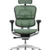 Ergohuman Elite Green Mesh Office Chair - New Model