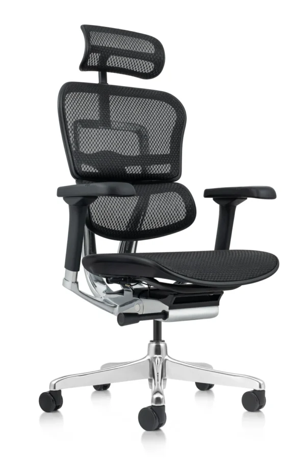 Ergohuman Elite Office Chair - New Model