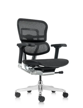 Ergohuman Elite Mesh Office Chair