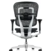 Ergohuman Elite Mesh Office Chair - New Model G2 Back