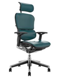 Ergohuman Elite Office Chair G2 with Leg Rest G2 Latest Model