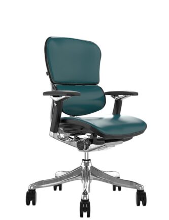 Ergohuman Plus Luxury Teal Leather no Head Rest