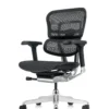 Ergohuman Plus Mesh Office Chair