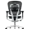 Ergohuman Plus Mesh Office Chairs