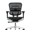 Ergohuman Plus Mesh Office Chair front