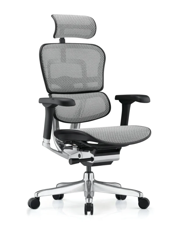 Ergohuman Plus Luxury Mesh Office Chair - New Model