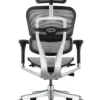 Ergohuman Plus Mesh Office Chair G2 Back