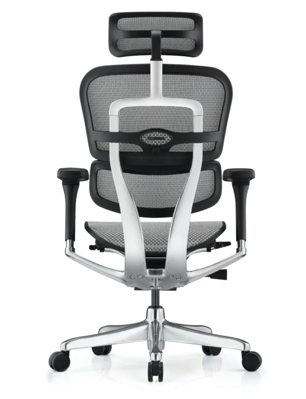 Ergohuman Plus Mesh Office Chair G2 Back