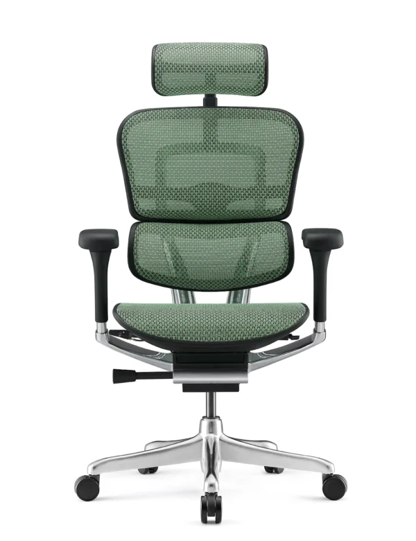 Ergohuman Plus Luxury Green Mesh Office Chair - New Model G2