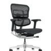 Ergohuman Plus Mesh Office Chair G2