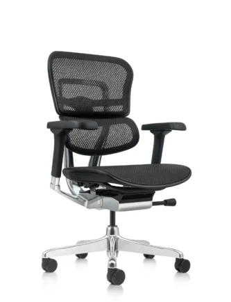 Ergohuman Plus Mesh Office Chair G2