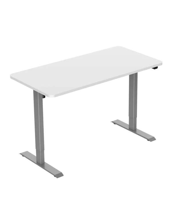 Freedom Electric Standing Desk