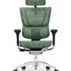 Mirus Elite Green Mesh Office Chair G2 Latest Model