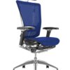 Nefil Ergonomic Blue Mesh Office Chair with Head Rest