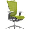 Nefil Ergonomic Green Mesh Office Chair with Head Rest