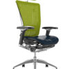 Nefil Black Leather Seat Green Mesh Back with Head Rest