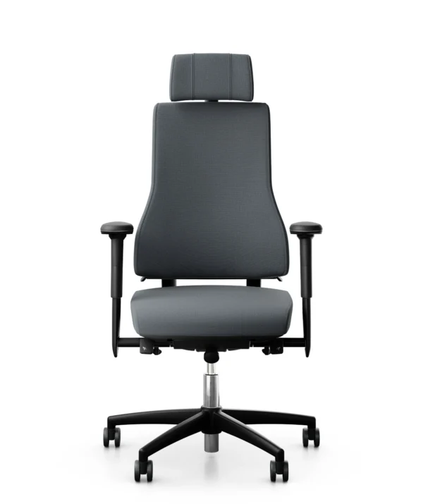 rh Axia 2.4 Office Chair with Head rest